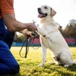 WhatsApp Image 2025-07-30 at 1.42.46 AM