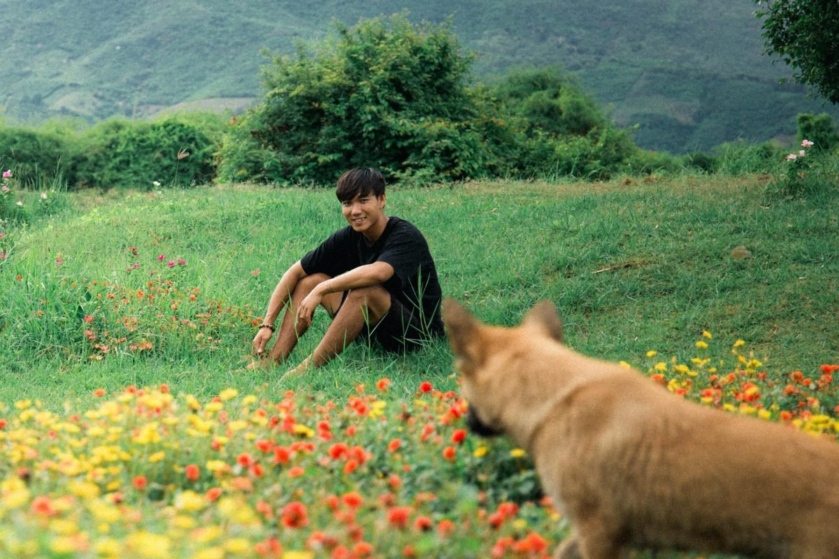 pexels-th-ng-hy-390169813-14818001